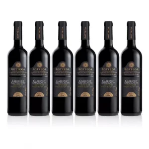 Bottega Cabernet Sauvignon IGT Trevenezie