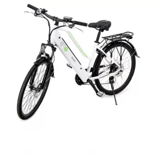 EMG Queen 26 bicicletta a pedalata assistita