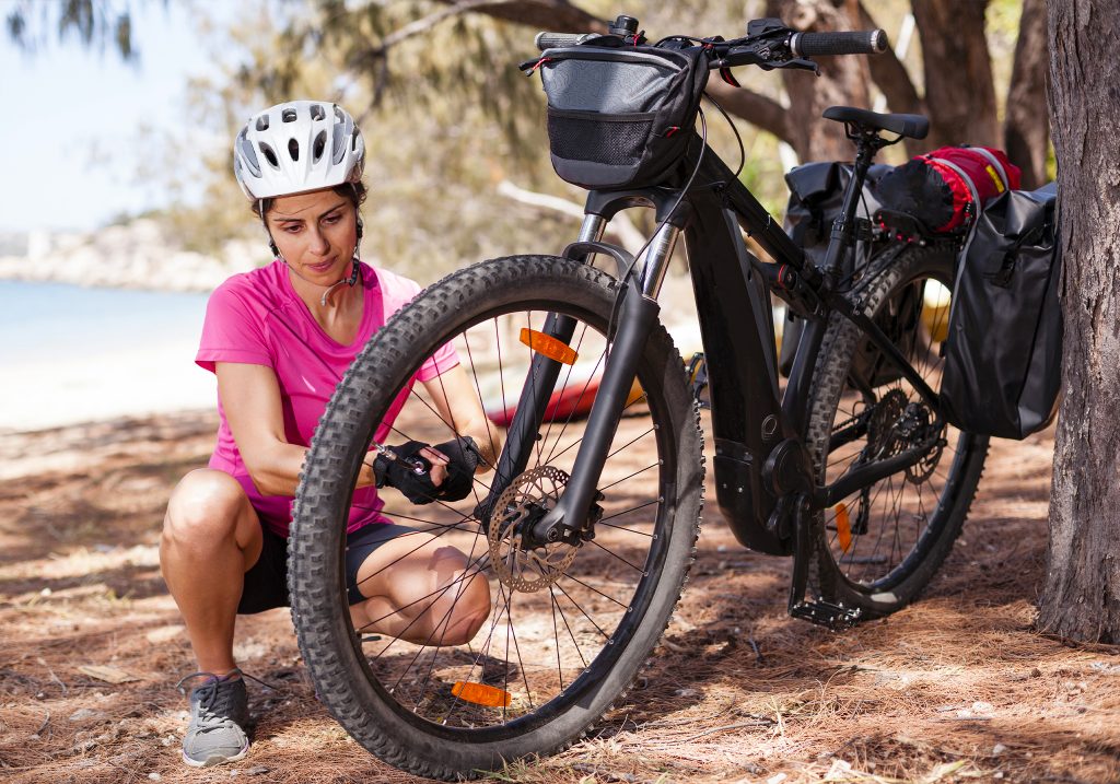 Bici elettrica